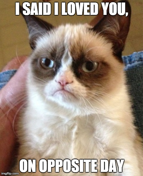 Love,Well maybe not so much love | I SAID I LOVED YOU, ON OPPOSITE DAY | image tagged in memes,grumpy cat,awesome | made w/ Imgflip meme maker