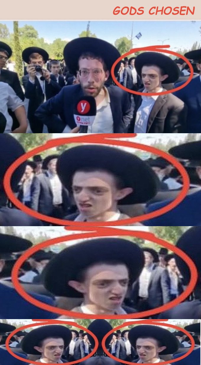 ugly Kike Blank Meme Template