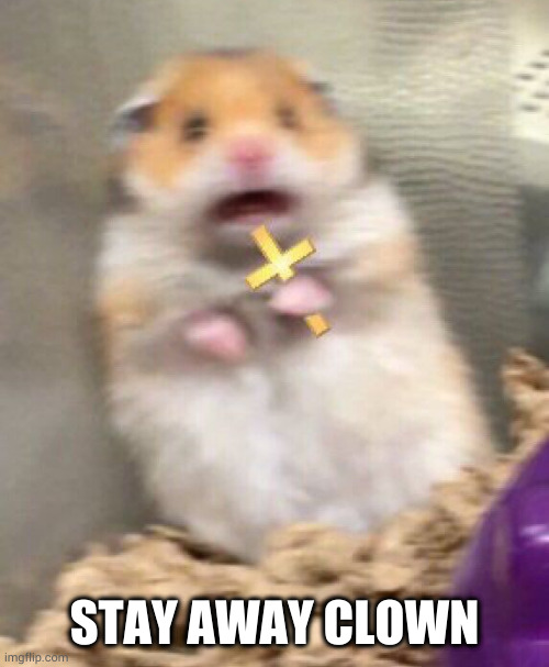 STAY AWAY CLOWN | image tagged in holy hampster | made w/ Imgflip meme maker