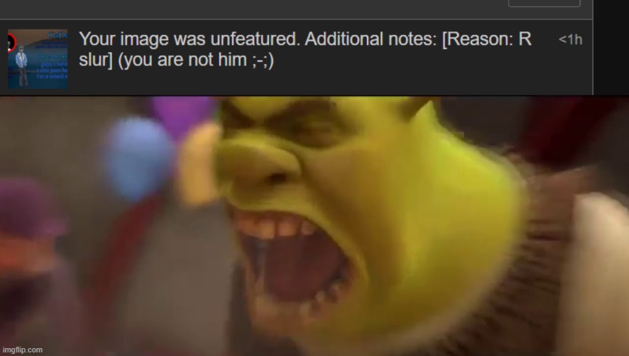 image tagged in shrek screaming | made w/ Imgflip meme maker