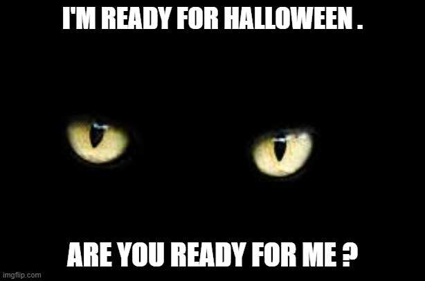 memes by Brad - My black cat is ready for Halloween | I'M READY FOR HALLOWEEN . ARE YOU READY FOR ME ? | image tagged in cats,funny,black cat,halloween,halloween costume,costume | made w/ Imgflip meme maker