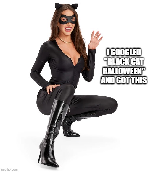 memes by Brad - I googled black cat woman and this came up - sexy costume | I GOOGLED "BLACK CAT HALLOWEEN" AND GOT THIS | image tagged in cats,costume,funny,halloween,sexy woman,black cat | made w/ Imgflip meme maker