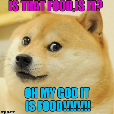 A Dogs Love of Food | IS THAT FOOD,IS IT? OH MY GOD IT IS FOOD!!!!!!!! | image tagged in memes,doge | made w/ Imgflip meme maker