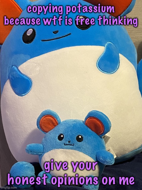 the dynamic Bhillip duo | copying potassium because wtf is free thinking; give your honest opinions on me | image tagged in the dynamic bhillip duo | made w/ Imgflip meme maker