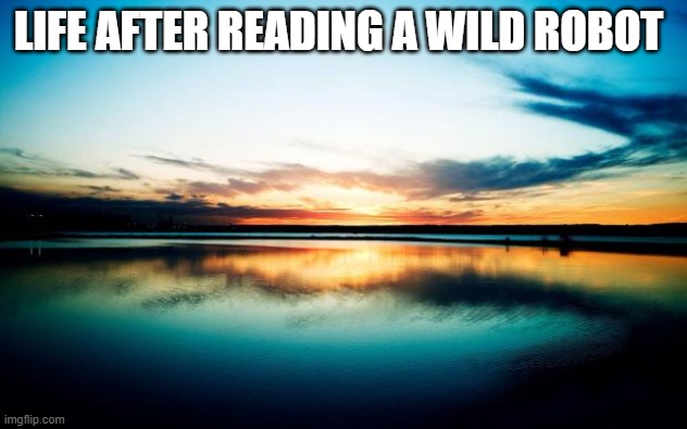 I finally read it!!! | LIFE AFTER READING A WILD ROBOT | image tagged in sunset,books | made w/ Imgflip meme maker