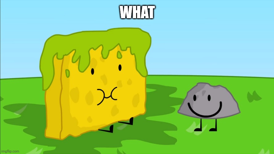 What ? | WHAT | image tagged in baby stupid vomits on spongy | made w/ Imgflip meme maker