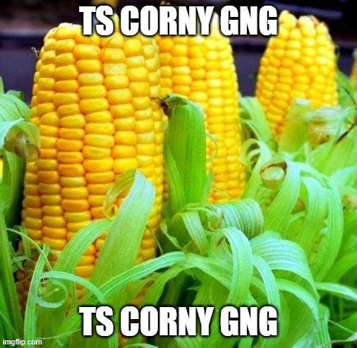 CORN meme | TS CORNY GNG; TS CORNY GNG | image tagged in corn meme | made w/ Imgflip meme maker