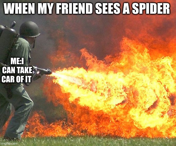 Flamethrower | WHEN MY FRIEND SEES A SPIDER; ME:I CAN TAKE CAR OF IT | image tagged in flamethrower | made w/ Imgflip meme maker