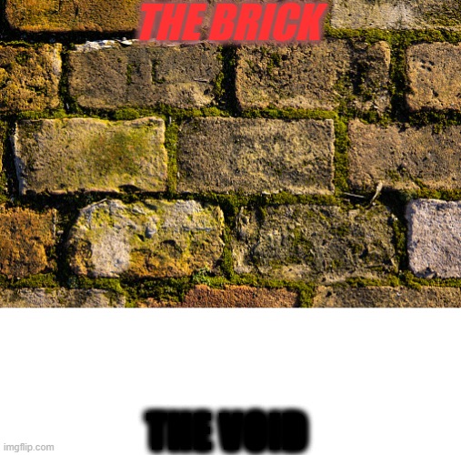 we stand on the brick | THE BRICK; THE VOID | image tagged in vhjrg | made w/ Imgflip meme maker