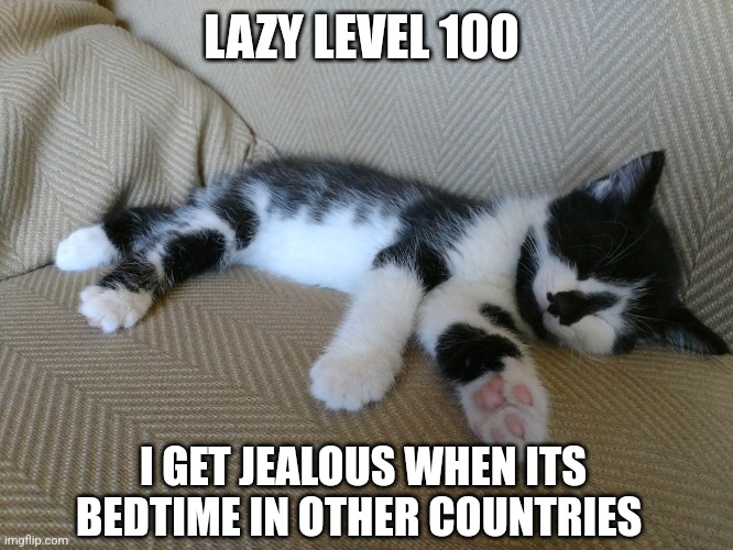 Lazy kitty | LAZY LEVEL 100; I GET JEALOUS WHEN ITS BEDTIME IN OTHER COUNTRIES | image tagged in cat,kitten,lazy,sleep,cute,meme | made w/ Imgflip meme maker