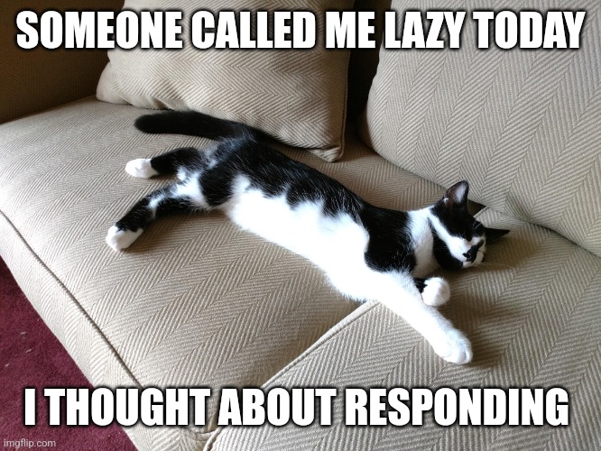 Lazy Days | SOMEONE CALLED ME LAZY TODAY; I THOUGHT ABOUT RESPONDING | image tagged in cat,lazy,sleep,cute,meme | made w/ Imgflip meme maker