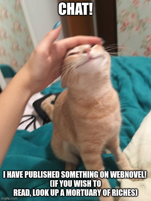 :3 | CHAT! I HAVE PUBLISHED SOMETHING ON WEBNOVEL! 
(IF YOU WISH TO READ, LOOK UP A MORTUARY OF RICHES) | image tagged in cat pat | made w/ Imgflip meme maker