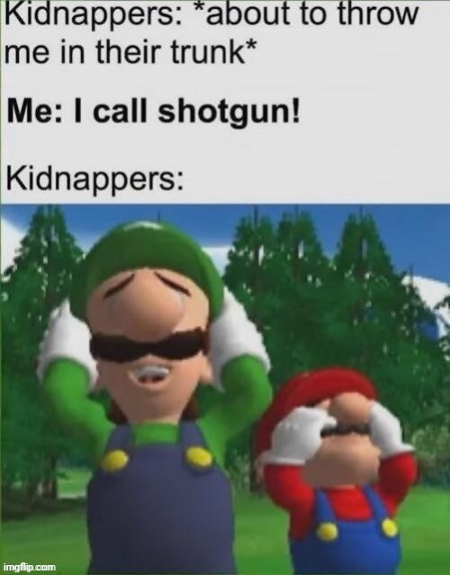 Kidnappers | image tagged in kidnappers,kidnapper,reposts,repost,memes,shotgun | made w/ Imgflip meme maker