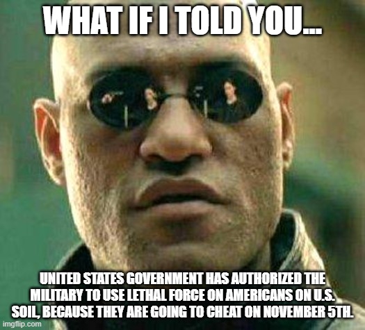 What if i told you | WHAT IF I TOLD YOU... UNITED STATES GOVERNMENT HAS AUTHORIZED THE MILITARY TO USE LETHAL FORCE ON AMERICANS ON U.S. SOIL, BECAUSE THEY ARE GOING TO CHEAT ON NOVEMBER 5TH. | image tagged in what if i told you,government,democrats,military | made w/ Imgflip meme maker