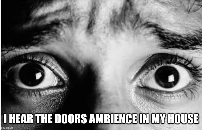 Unnerved Stare | I HEAR THE DOORS AMBIENCE IN MY HOUSE | image tagged in unnerved stare | made w/ Imgflip meme maker
