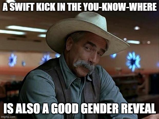 A SWIFT KICK IN THE YOU-KNOW-WHERE IS ALSO A GOOD GENDER REVEAL | image tagged in special kind of stupid | made w/ Imgflip meme maker