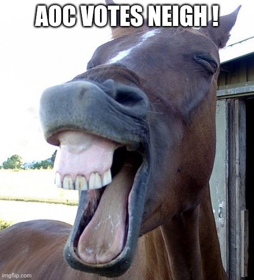 Funny Horse Face | AOC VOTES NEIGH ! | image tagged in funny horse face | made w/ Imgflip meme maker