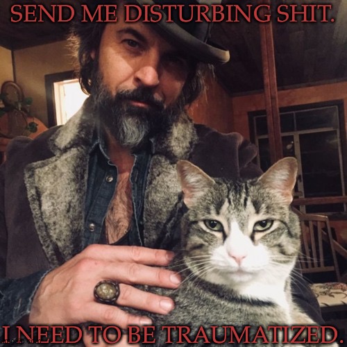 Sorry, I'm In A Weird Mood | SEND ME DISTURBING SHIT. I NEED TO BE TRAUMATIZED. | image tagged in theres a new sheriff in town,i wanna blow out my brain cells,need trauma for distraction,i dont like my thoughts | made w/ Imgflip meme maker