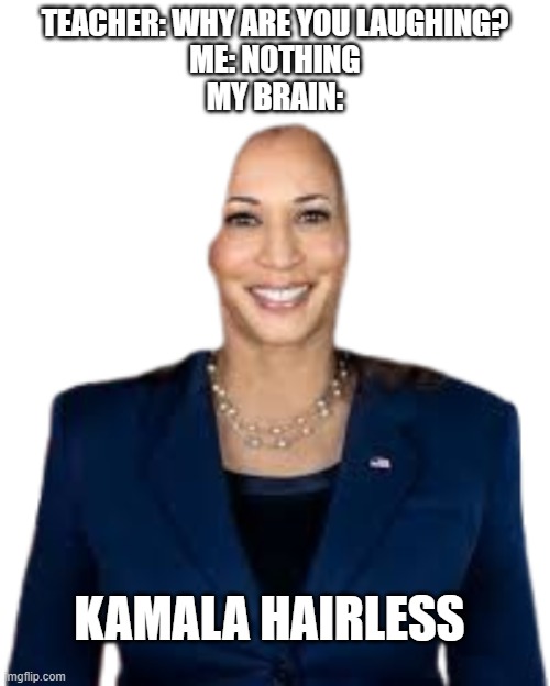 Kamala Hairless | TEACHER: WHY ARE YOU LAUGHING?

ME: NOTHING

MY BRAIN:; KAMALA HAIRLESS | image tagged in teacher what are you laughing at | made w/ Imgflip meme maker