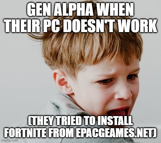 Ah, the stupidity of the young... | GEN ALPHA WHEN THEIR PC DOESN'T WORK; (THEY TRIED TO INSTALL FORTNITE FROM EPACGEAMES.NET) | image tagged in gen alpha being stupid,viruses,fake game stores | made w/ Imgflip meme maker