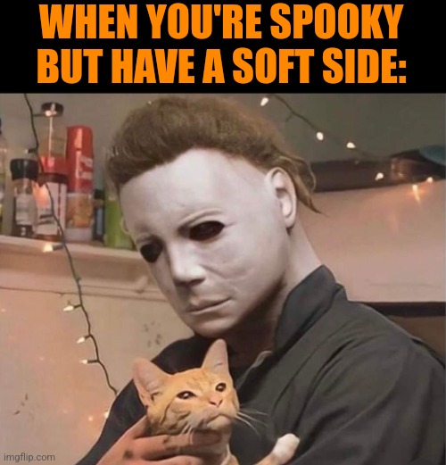 HALLOWEEN CAT | WHEN YOU'RE SPOOKY BUT HAVE A SOFT SIDE: | image tagged in cats,michael myers,halloween | made w/ Imgflip meme maker