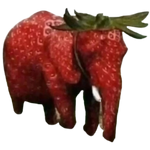 strawberry elephant Meme Template