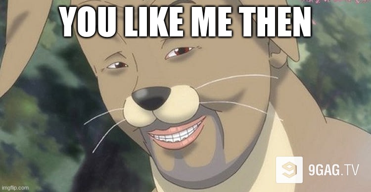 Weird anime hentai furry | YOU LIKE ME THEN | image tagged in weird anime hentai furry | made w/ Imgflip meme maker