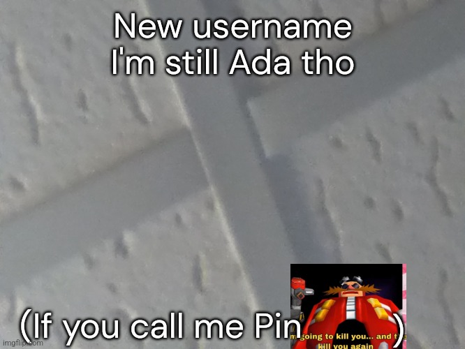 Jk, I kinda like Pin, not as a name but as a username | New username
I'm still Ada tho; (If you call me Pin; ) | image tagged in qwertyuiop | made w/ Imgflip meme maker