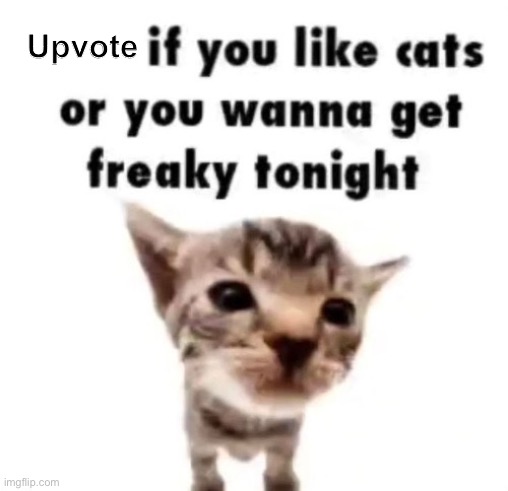 Freaky cat | Upvote | made w/ Imgflip meme maker