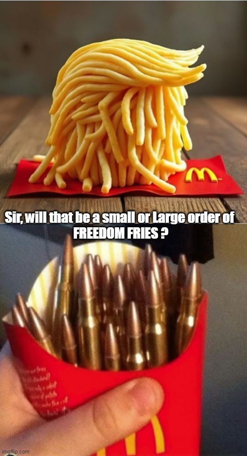 Sir, will that be a small or Large order of 
FREEDOM FRIES ? | made w/ Imgflip meme maker