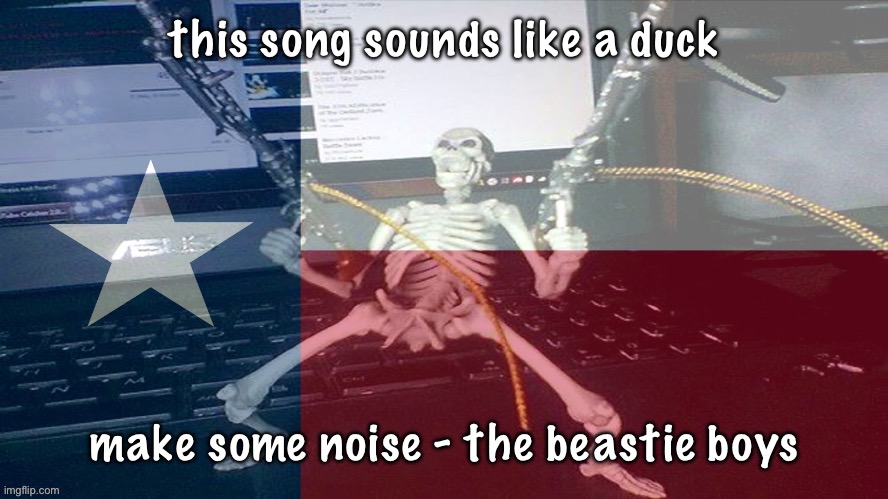 TEXAS RAAAAAAHHH | this song sounds like a duck; make some noise - the beastie boys | image tagged in texas raaaaaahhh | made w/ Imgflip meme maker