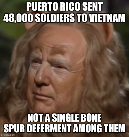 He's garbage | PUERTO RICO SENT 48,000 SOLDIERS TO VIETNAM; NOT A SINGLE BONE SPUR DEFERMENT AMONG THEM | image tagged in trump,republican,fascists,maga,cowards,racists | made w/ Imgflip meme maker