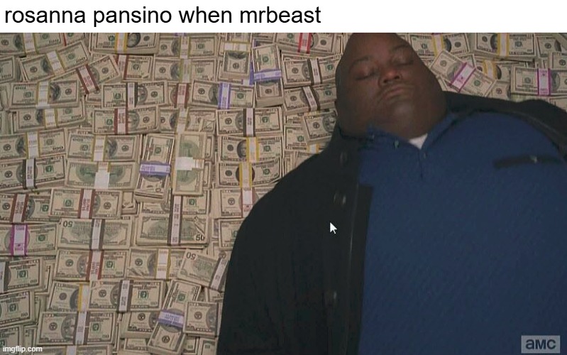 Fat guy laying on money | rosanna pansino when mrbeast | image tagged in memes,fun | made w/ Imgflip meme maker