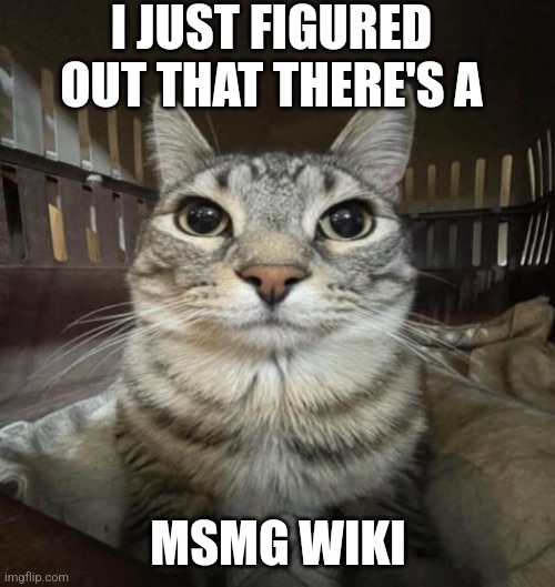 Zazu Staring | I JUST FIGURED OUT THAT THERE'S A; MSMG WIKI | image tagged in zazu staring | made w/ Imgflip meme maker