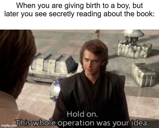 I gave birth to a boy and read about the book | When you are giving birth to a boy, but later you see secretly reading about the book: | image tagged in hold on this whole operation was your idea,memes,funny | made w/ Imgflip meme maker