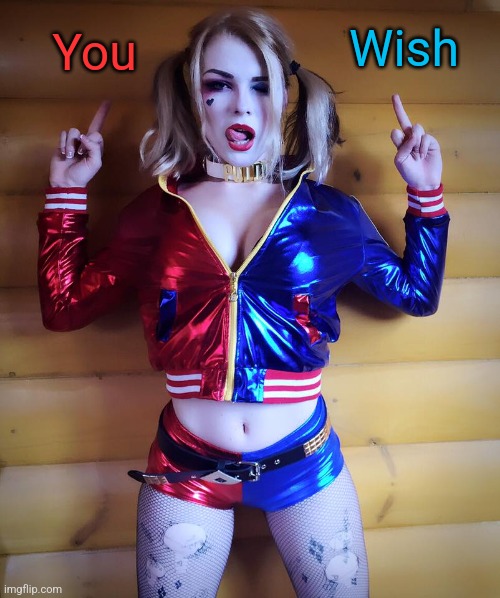 Harley Quinn  | You Wish | image tagged in harley quinn | made w/ Imgflip meme maker