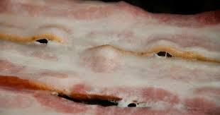 Talking bacon Blank Meme Template