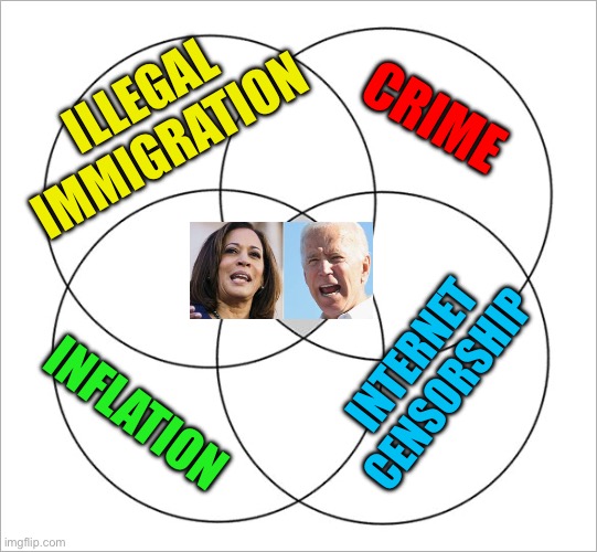 “I love Venn diagrams” | CRIME; ILLEGAL IMMIGRATION; INTERNET CENSORSHIP; INFLATION | image tagged in venn 4 circle,democrats,kamala harris,incompetence | made w/ Imgflip meme maker