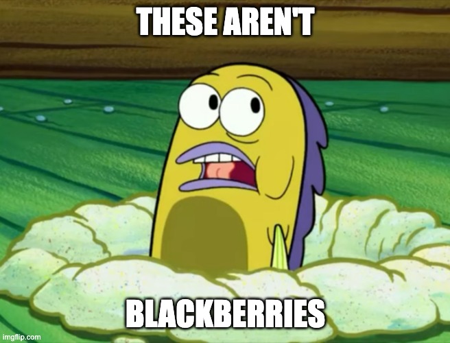 This isn't the chum bucket | THESE AREN'T BLACKBERRIES | image tagged in this isn't the chum bucket | made w/ Imgflip meme maker