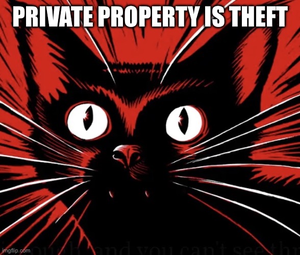 Private property is theft | PRIVATE PROPERTY IS THEFT | image tagged in sabo tabby cat | made w/ Imgflip meme maker