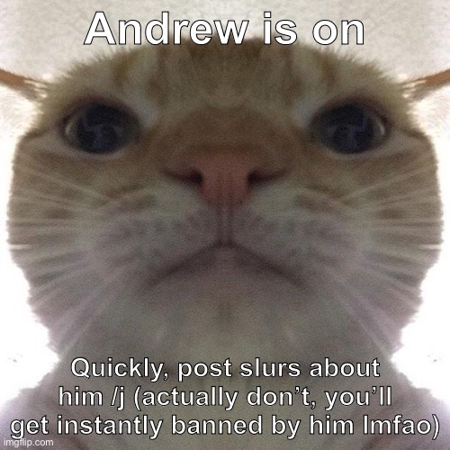 It’s a joke, liberal | Andrew is on; Quickly, post slurs about him /j (actually don’t, you’ll get instantly banned by him lmfao) | image tagged in staring cat/gusic | made w/ Imgflip meme maker