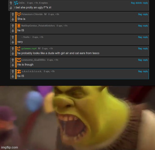 okay i get it | image tagged in shrek screaming | made w/ Imgflip meme maker