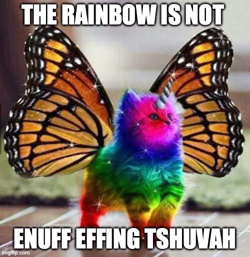 The Rainbow is not Enough | THE RAINBOW IS NOT; ENUFF EFFING TSHUVAH | image tagged in rainbow unicorn butterfly kitten | made w/ Imgflip meme maker