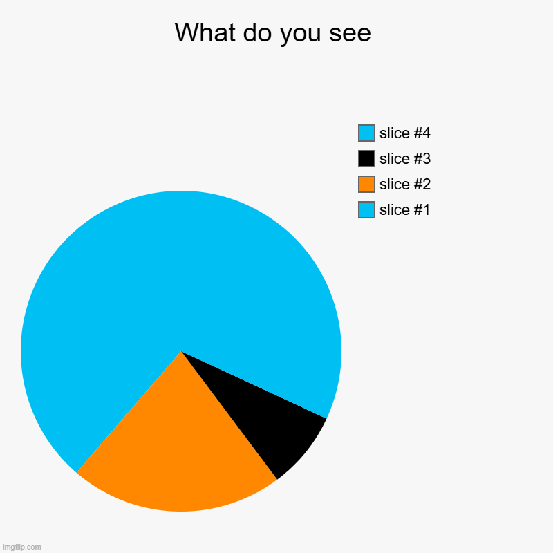 What do you see | | image tagged in charts,pie charts | made w/ Imgflip chart maker