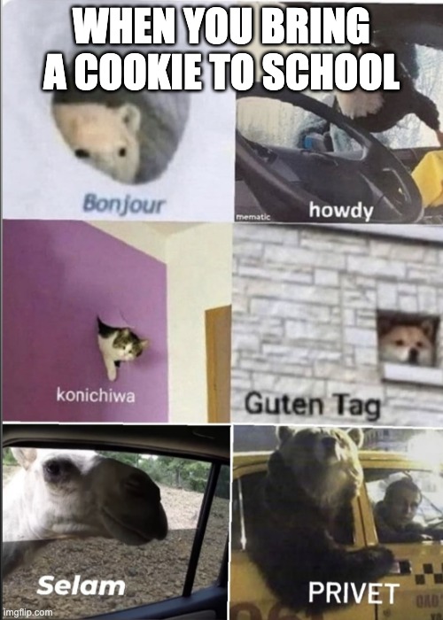 Bonjour howdy konichiwa guten tag Selam privet | WHEN YOU BRING A COOKIE TO SCHOOL | image tagged in bonjour howdy konichiwa guten tag selam privet | made w/ Imgflip meme maker