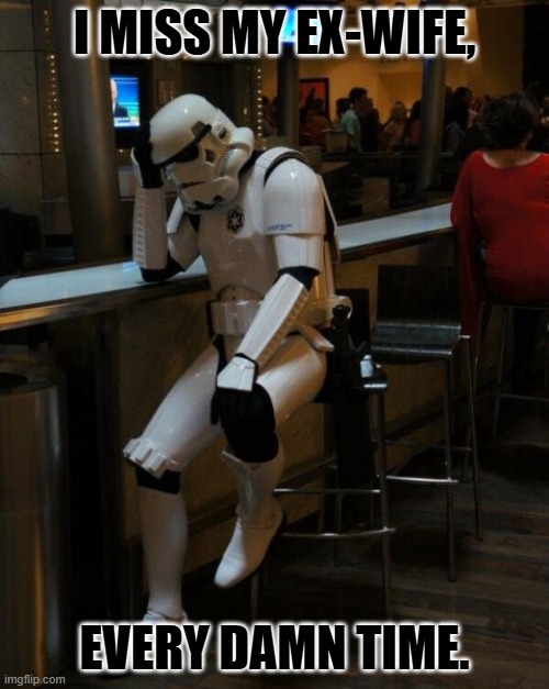 Sad Stormtrooper At The Bar | I MISS MY EX-WIFE, EVERY DAMN TIME. | image tagged in sad stormtrooper at the bar | made w/ Imgflip meme maker