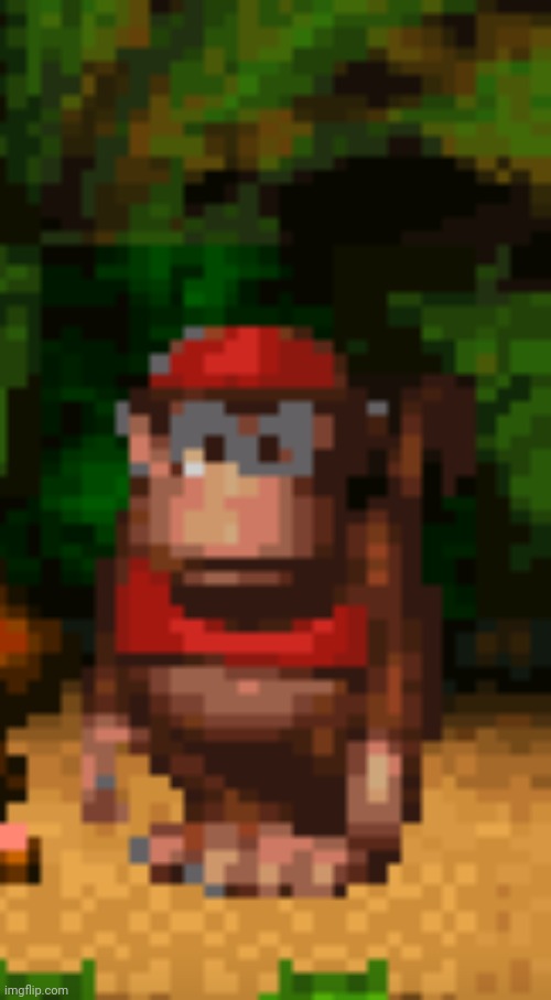 DK thousand yard stare | image tagged in dk thousand yard stare | made w/ Imgflip meme maker