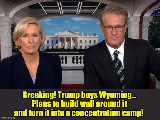 Marcia! Marcia!! Adolph!!! | Breaking! Trump buys Wyoming... Plans to build wall around it and turn it into a concentration camp! | image tagged in morning joe | made w/ Imgflip meme maker