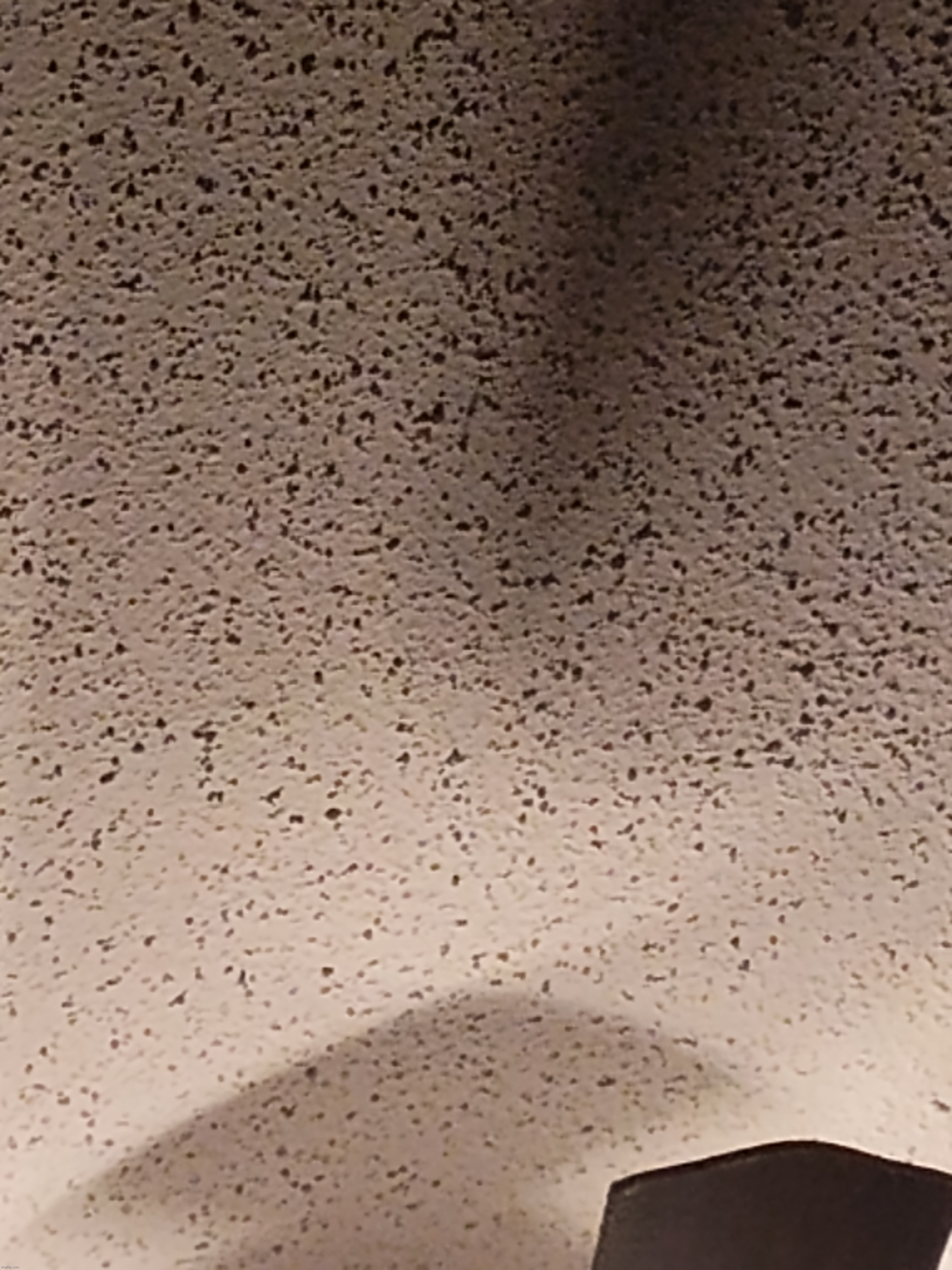 Look at this cool ceiling too | made w/ Imgflip meme maker