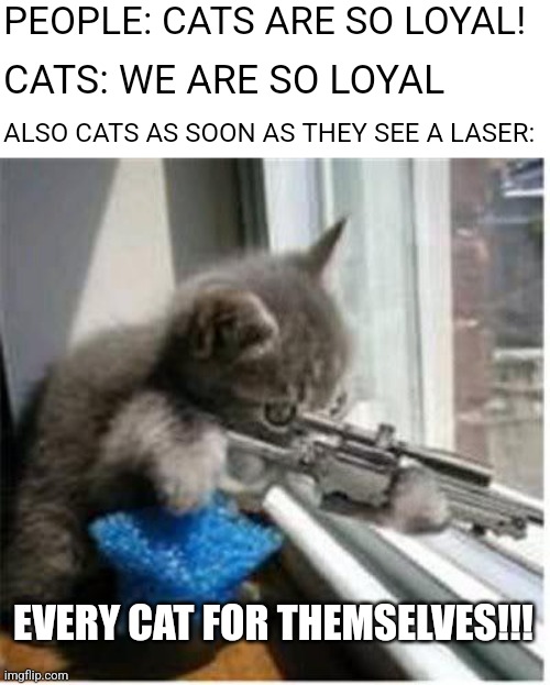 Confirmed title | PEOPLE: CATS ARE SO LOYAL! CATS: WE ARE SO LOYAL; ALSO CATS AS SOON AS THEY SEE A LASER:; EVERY CAT FOR THEMSELVES!!! | image tagged in cats with guns,memes,funny,cats,for real | made w/ Imgflip meme maker